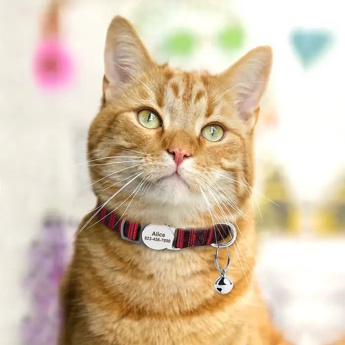 Collier de chat imprimé personnalisé, colliers réglables pour chaton et chiot, avec plaque d'identif