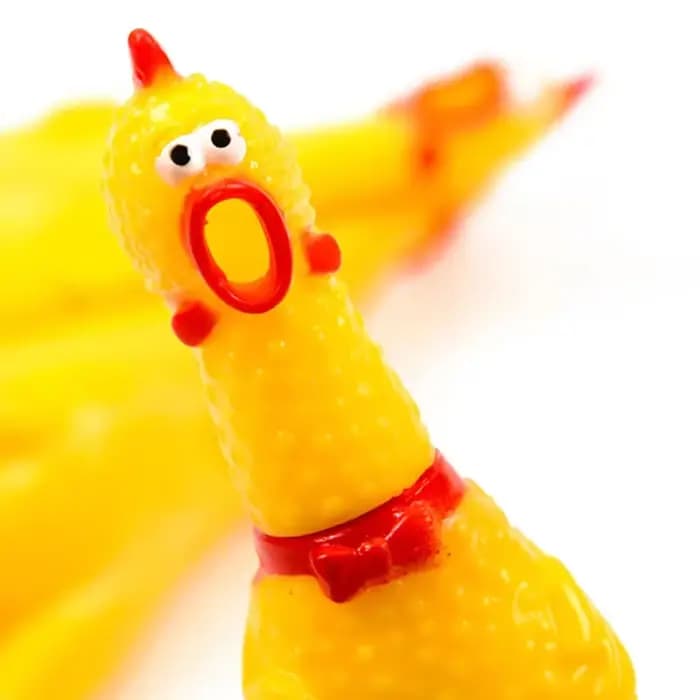 Poulet à presser, jouet pour animaux de compagnie, outil de décompression, évent de grincement, inté