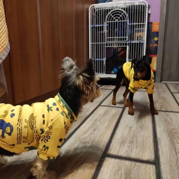 Xs vêtements pour chiens pour petits chiens fille chiot vêtements pour petits chiens garçon chat ves