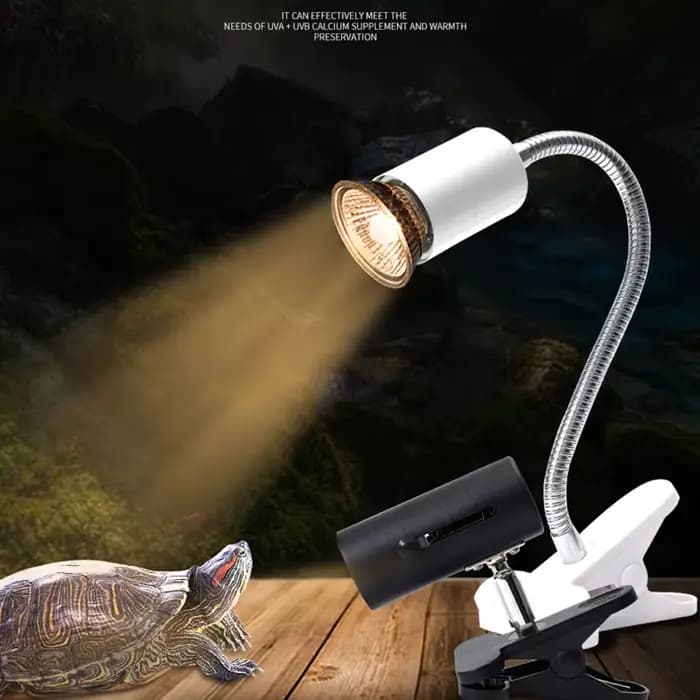Kit de lampes chauffantes UV remboursables pour animaux de compagnie, support d'ampoule à clipser, é