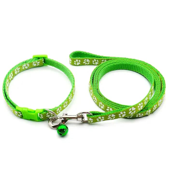 24 ensembles de laisse réglable pour chien et chat, collier pour chiot, marche en plein air, personn