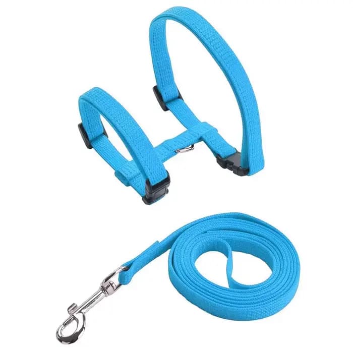 Ensemble harnais et laisse pour chat, anti-fuite, réglable, collier en Nylon souple, léger, pour cha