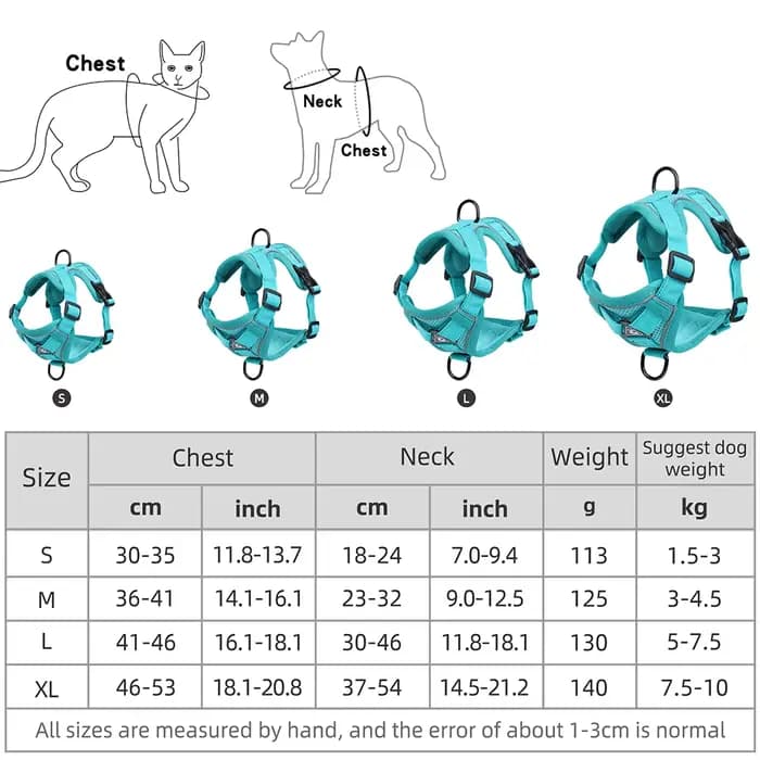 Harnissan-Laisse SFP pour chien et chat, collier, sangles, bouledogue, petit, moyen chien, chiot, bi