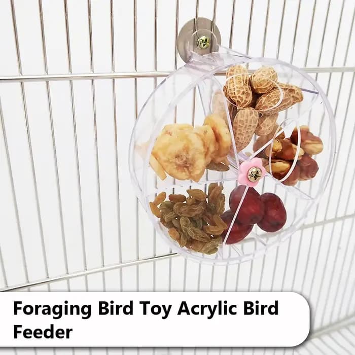Jouets pour perroquets rotatifs pour animaux de compagnie, roues, morsure à mâcher, boîte alimentair