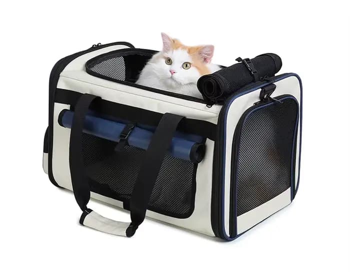 Mallette de transport pour chat, sac de voyage pour chien, sac pour chat à face souple, approuvé par