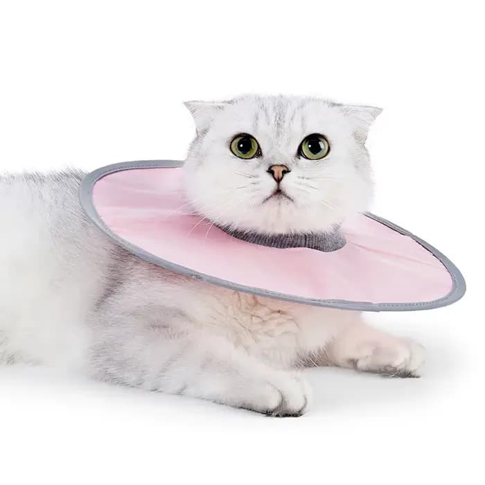 Collier élisabéthain réglable pour chat, collier de protection pour animaux de compagnie, pour chats