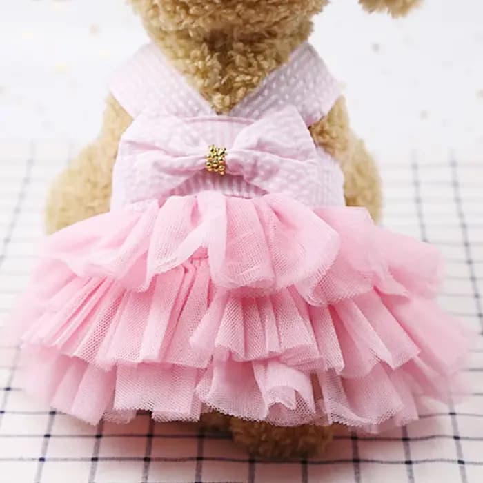 Robe d'été en dentelle pour chien et chat, vêtements pour animaux de compagnie, jupe à rayures Chihu