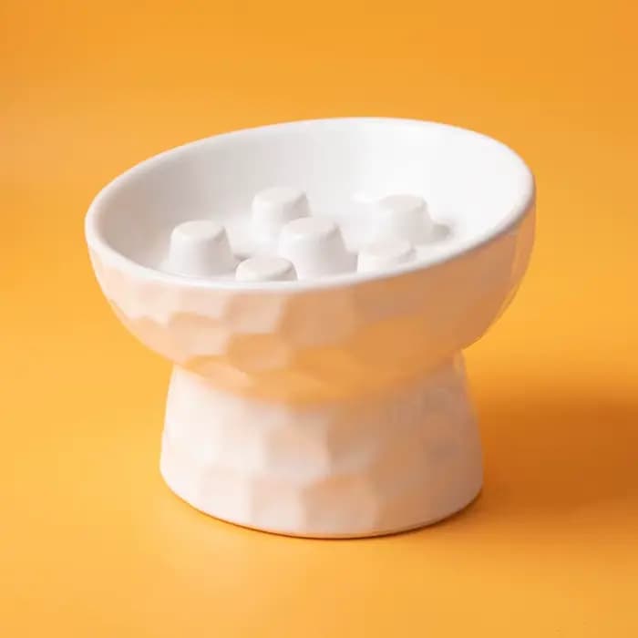 Bol en céramique pour chat, sur pieds hauts, anti-choc, à ouverture inclinée, protection du cou, pou