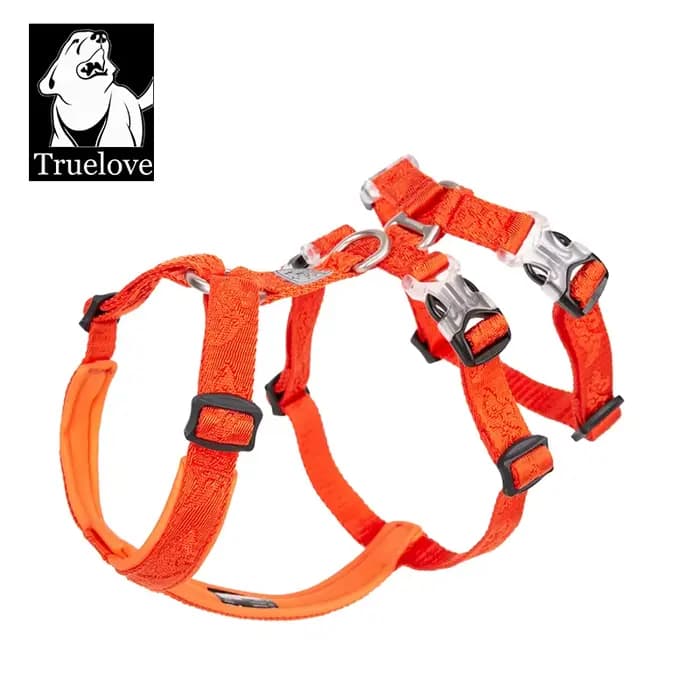 Nylon SFP Double-H personnalisé pour chien