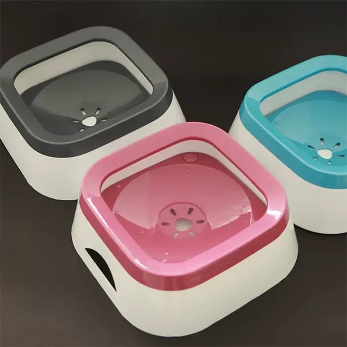 Bol d'eau potable pour chien