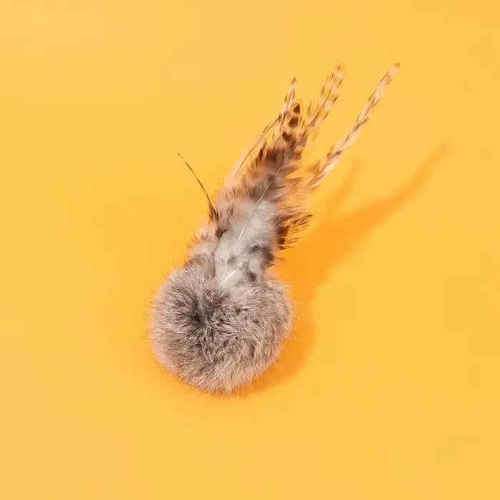 Jouets amusants pour chats en forme de sphère de fourrure de lapin, plumes interactives, jouets à mâcher pour les molaires, résistance aux morsures, jouet pour chiots et chatons, accessoires pour anim