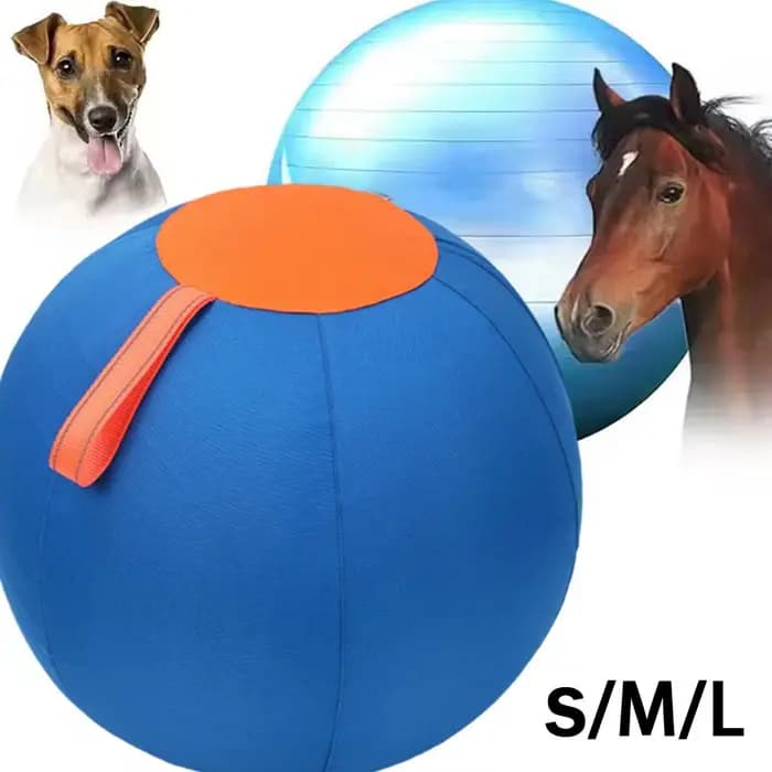 Balle de hérisson pour animaux de compagnie