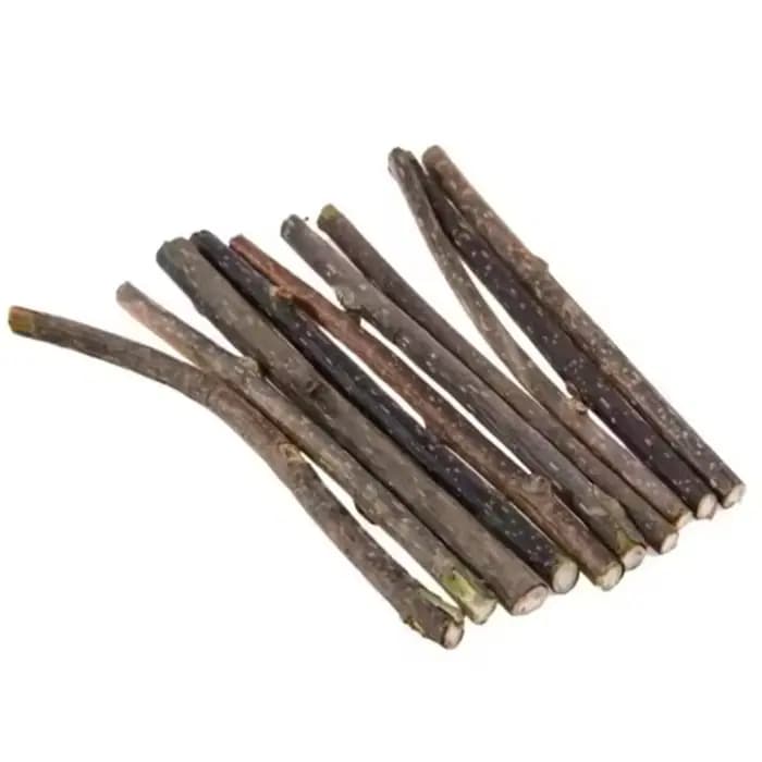 Silvervine bâtons pour chats naturel chat