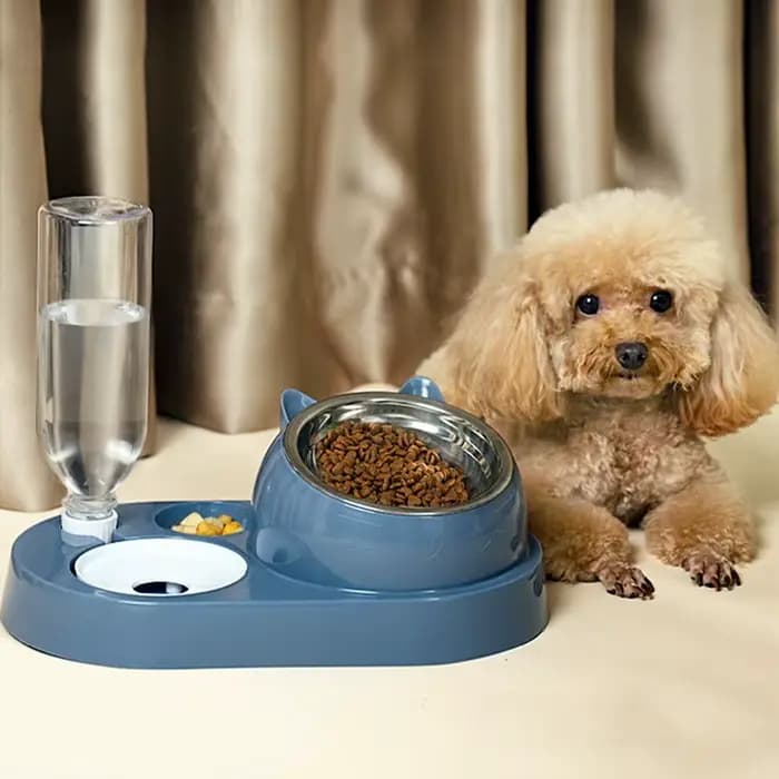 Nouveau 2-en-1 chat bol distributeur d'eau stockage