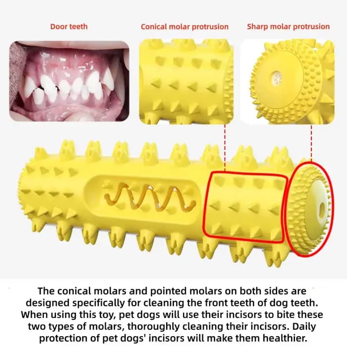 Brosse à dents 3-en-1 pour chien