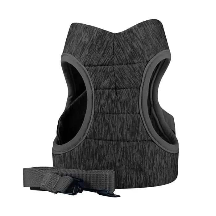 Ceinture Anti-fuite réglable pour petit chat