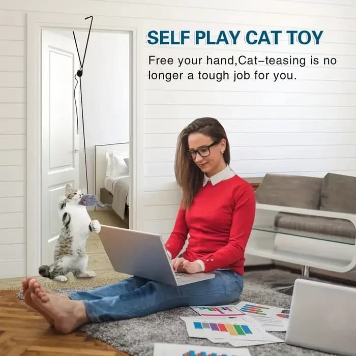 Jouet pour chat à suspendre à la porte