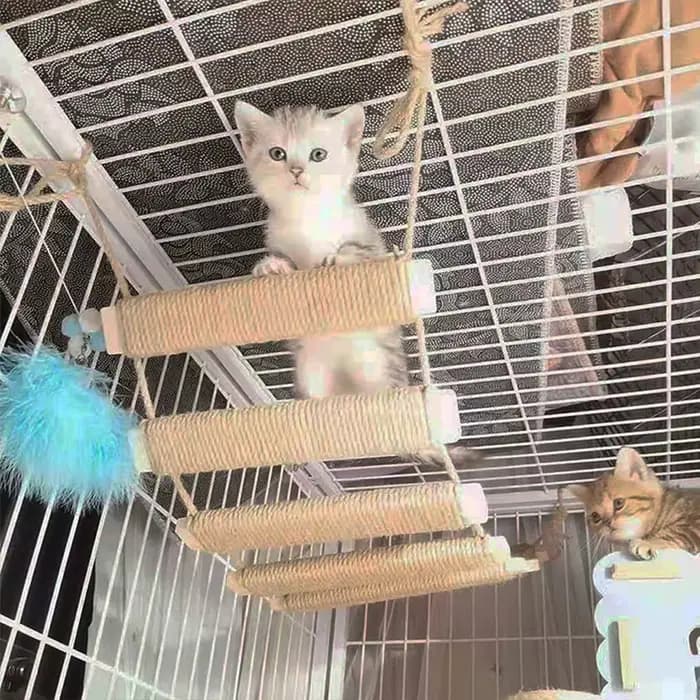 Cadre d'escalade pour chat