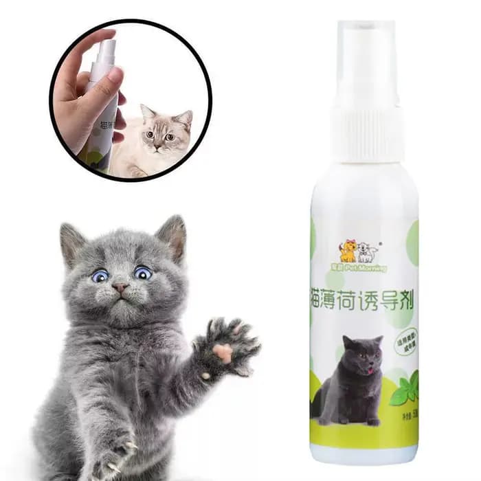 Spray à la catnip pour chat