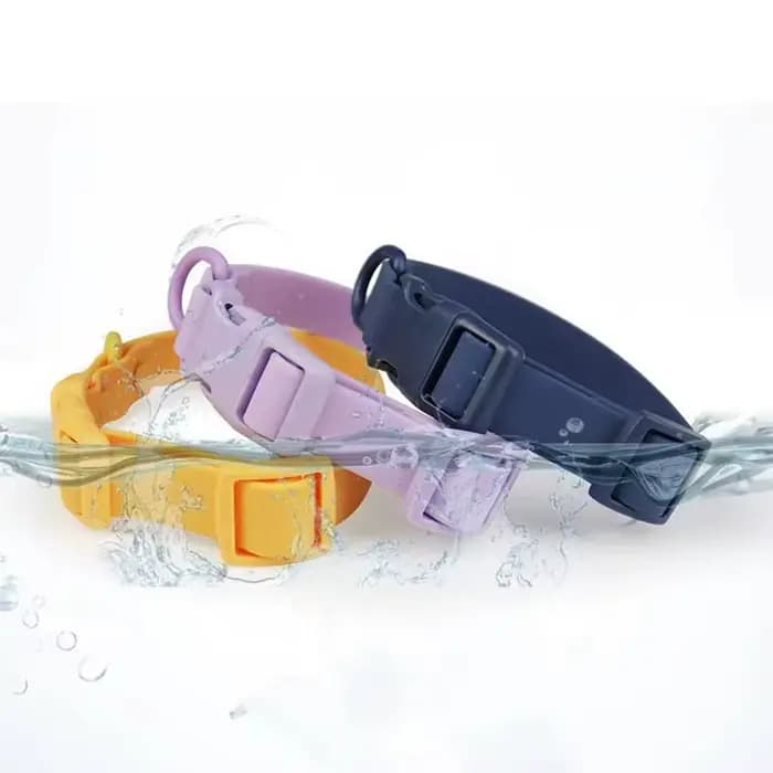 Collier de chien à sangle élastique
