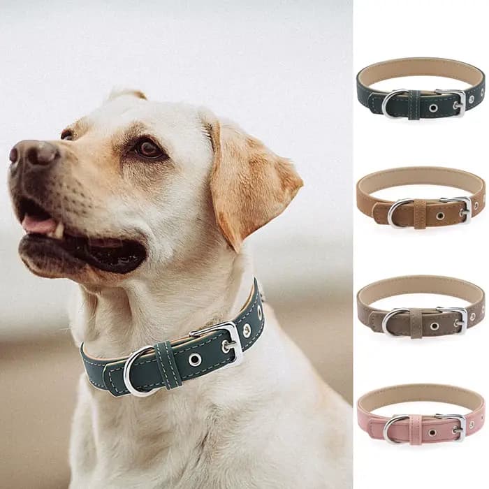 Collier vintage pour animaux de compagnie