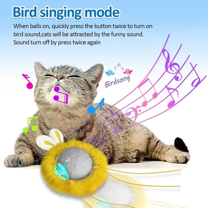 Jouets interactifs pour chats à activation par mouvement