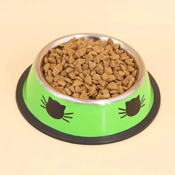 Supet-Gamelle en acier inoxydable à double paroi avec base en caoutchouc coordonnante pour chien et chat