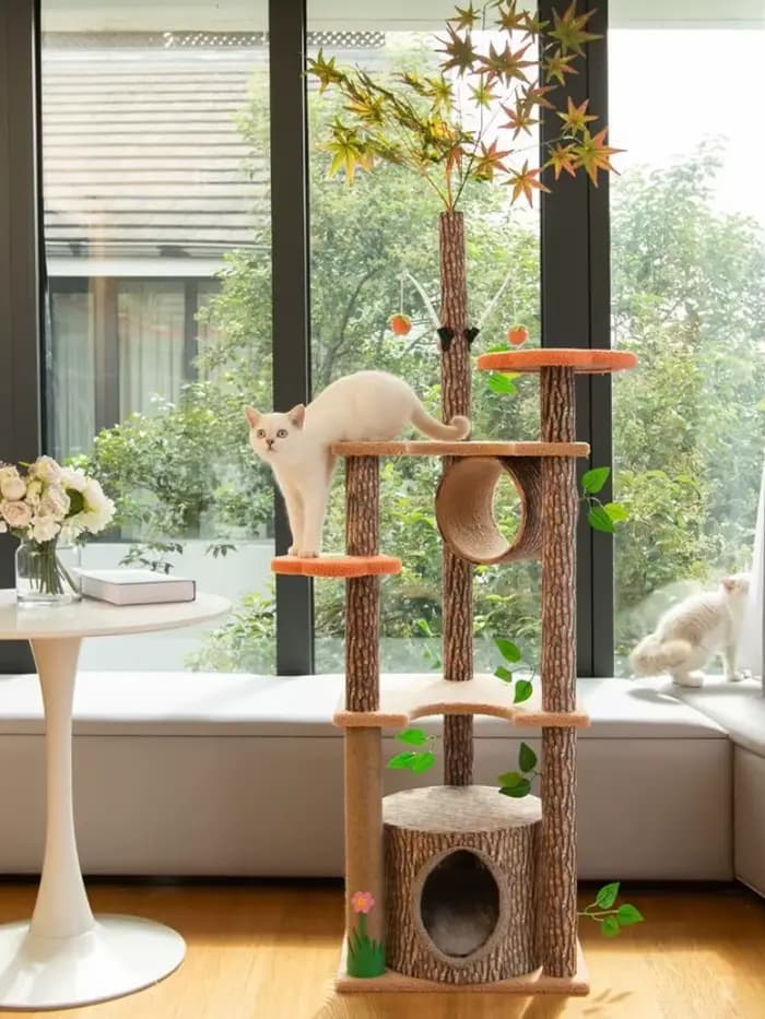 Grand Cadre d'Escalade pour Chat