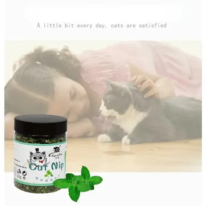 Bio 100% naturel de haute qualité herbe-aux-chats bétail goût de menthe drôle chat jouet nouveau