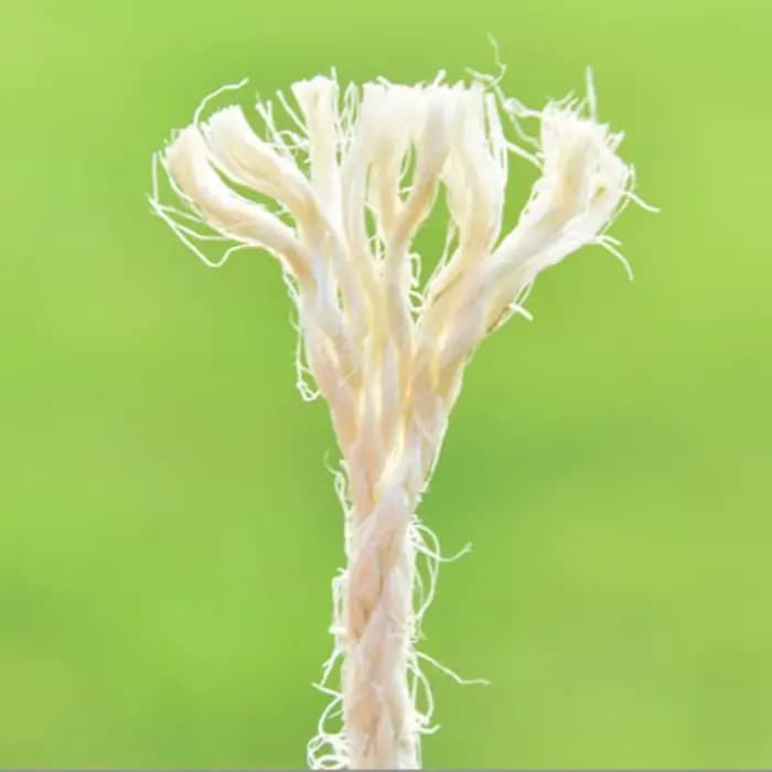 Corde en sisal naturel pour arbre à chat