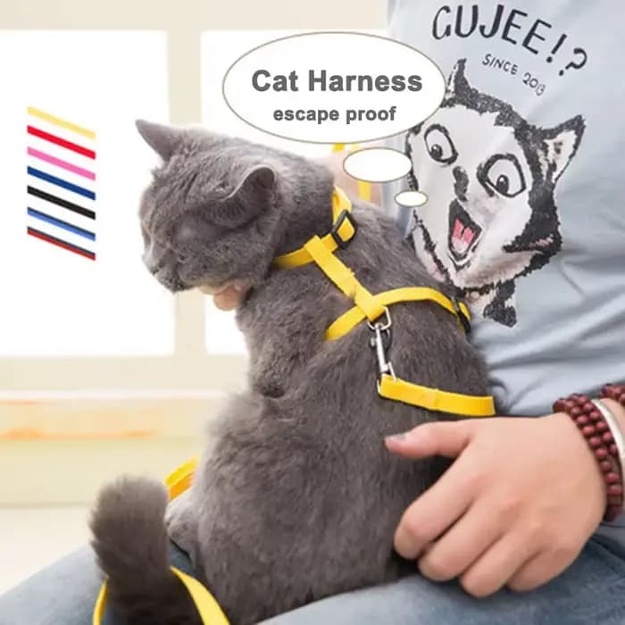 Ensemble harnais pour chat avec laisse et collier