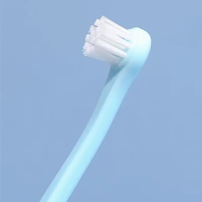 Brosse à dents pour chien