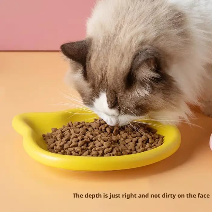 1 bol pour animaux de compagnie en forme de chat