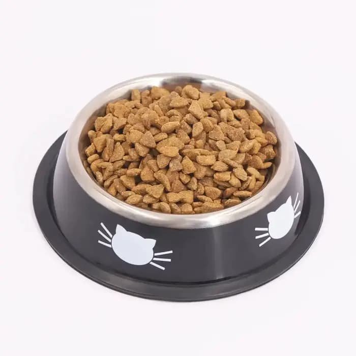 Supet-Gamelle en acier inoxydable à double paroi avec base en caoutchouc coordonnante pour chien et chat