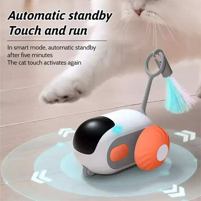 Jouets électriques pour chat