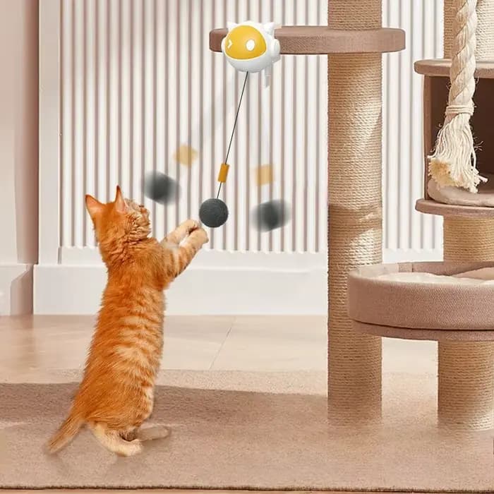 Jouet pour chat à levage automatique