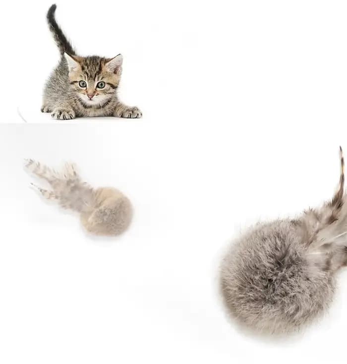 Jouets amusants pour chats en forme de sphère de fourrure de lapin, plumes interactives, jouets à mâcher pour les molaires, résistance aux morsures, jouet pour chiots et chatons, accessoires pour anim
