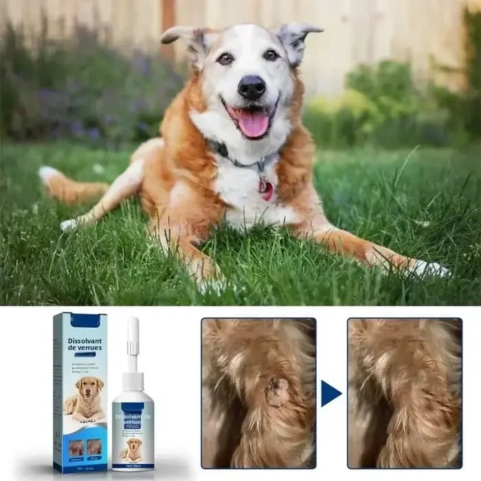 Liquide de soin de la peau pour animaux de compagnie