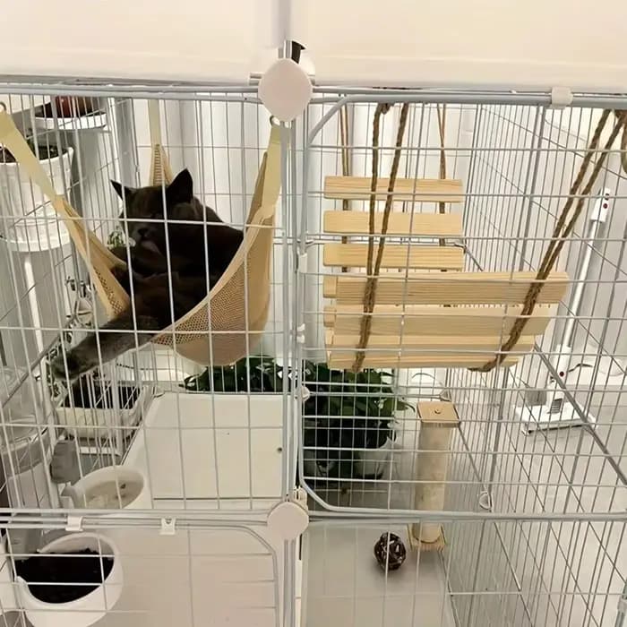 Échelle d'escalade en bois naturel pour chat