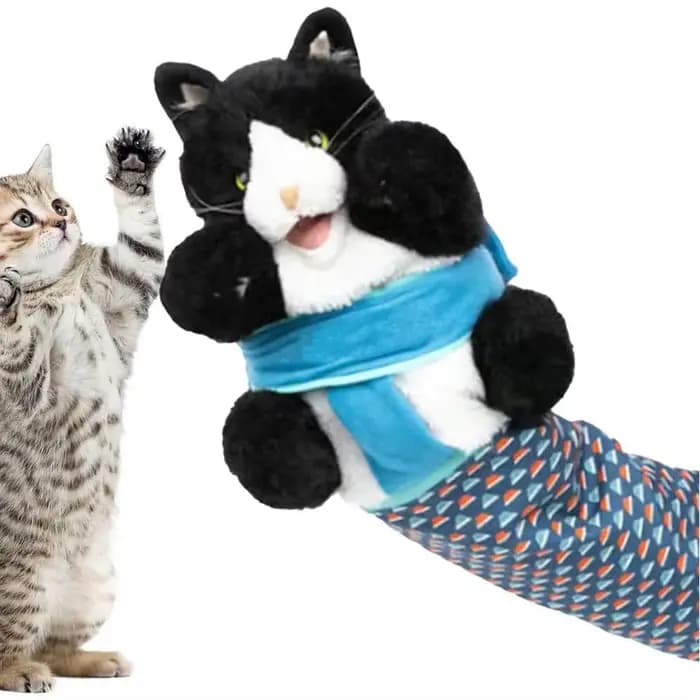 Gants de lutte pour chat, jouet pour chaton, gants interactifs pour chat, jouets de lutte pour chat, marionnette, fournitures de poupées pour animaux de compagnie