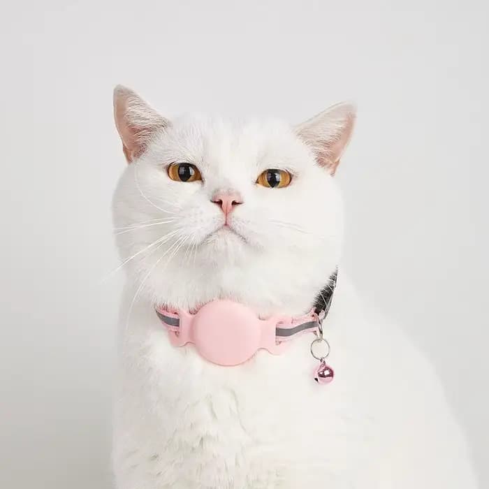 Collier anti-perte en silicone pour chat
