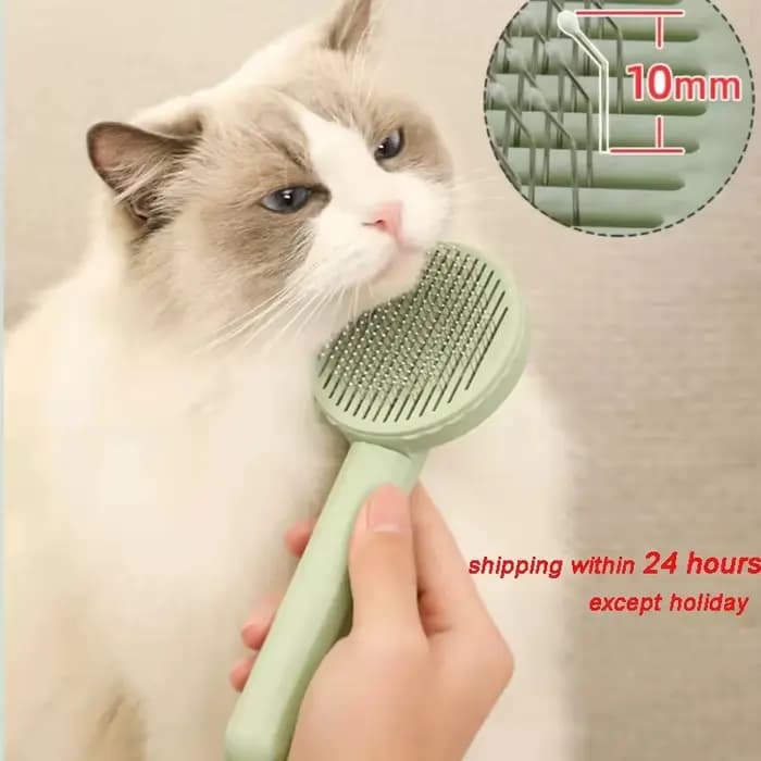Brosse pour animaux de compagnie