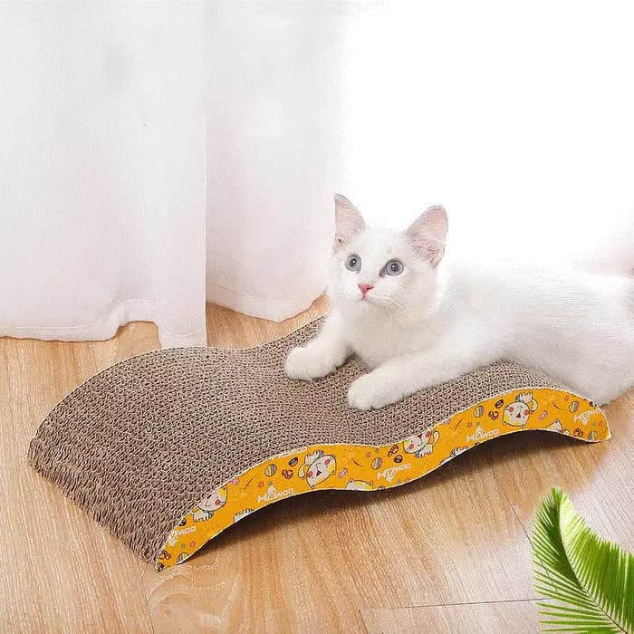 Jouets pour chat grattoir