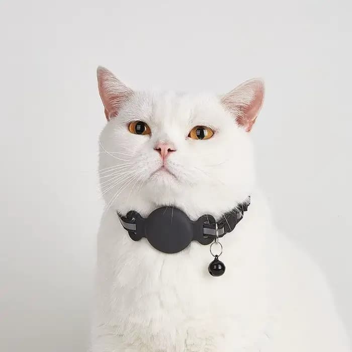 Collier anti-perte en silicone pour chat