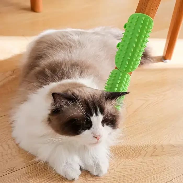 Peigne d'Épilation pour Chat
