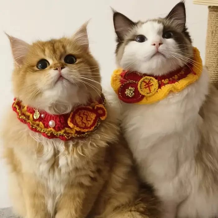 Vêtements pour chat, Costume pour chiot