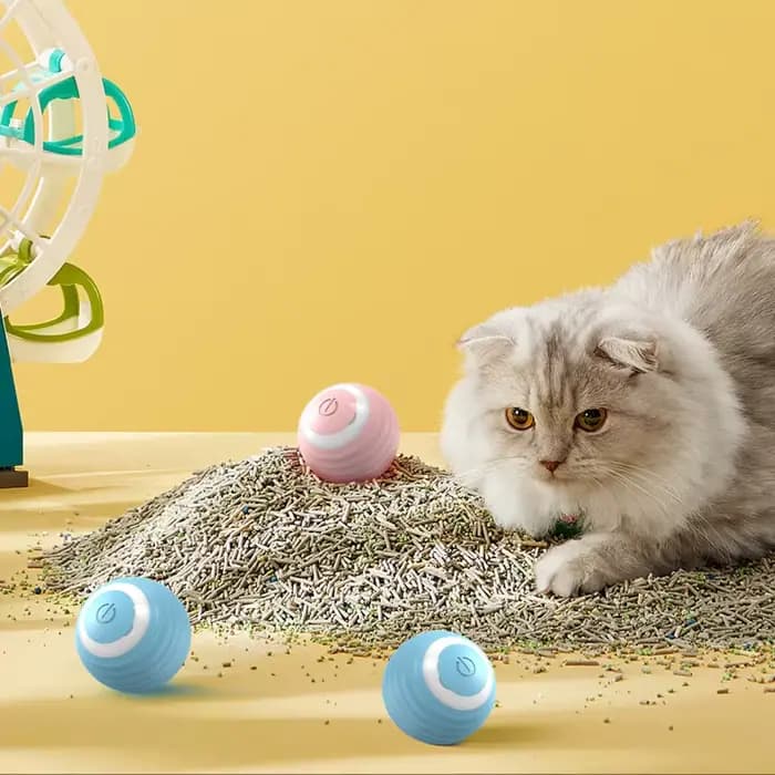 Balle Magique Interactive pour Chat