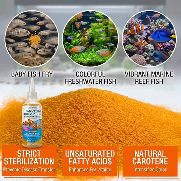 Nourriture pour poissons riches en protéines pour béta et guppy