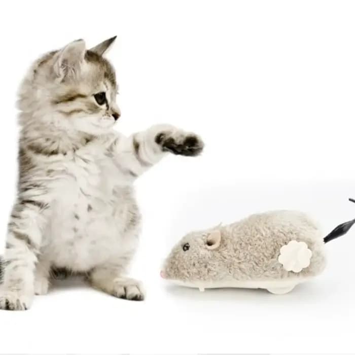 Jouet pour chat réaliste et drôle