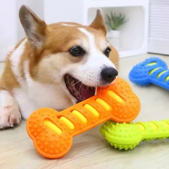 Jouets à mâcher pour chien